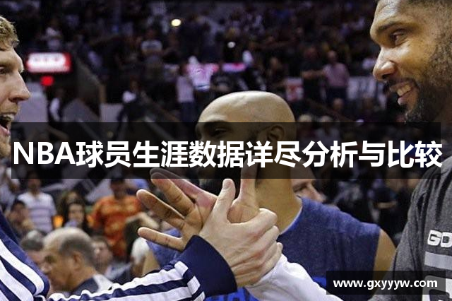 NBA球员生涯数据详尽分析与比较